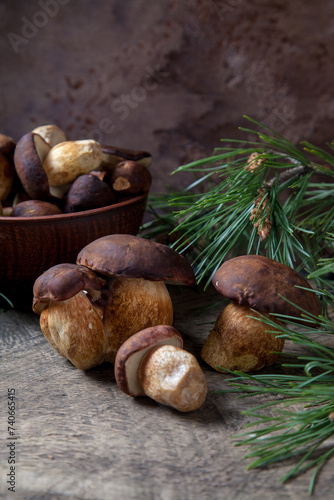 Imleria Badia or Boletus badius mushrooms commonly known as the bay bolete and clay bowl with mushrooms on vintage wooden background..