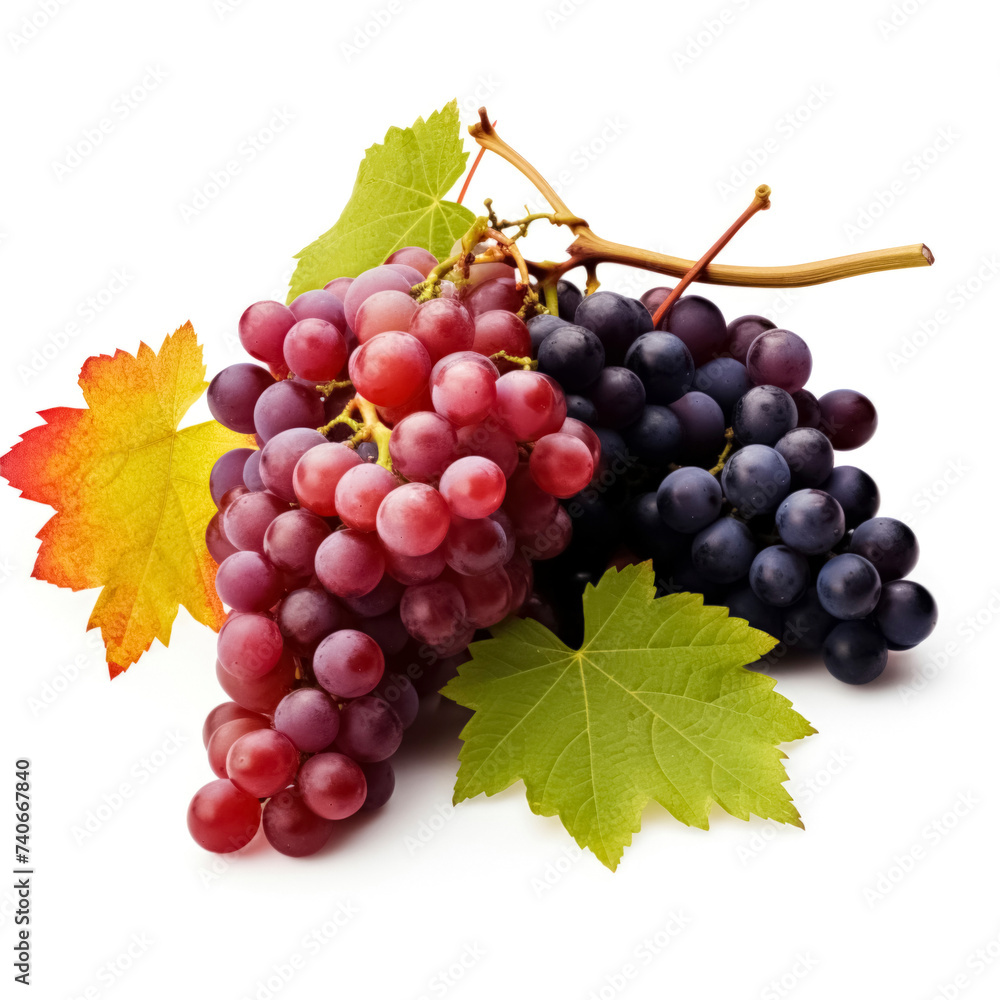 Fototapeta premium bunch of grapes with leaves on a white background