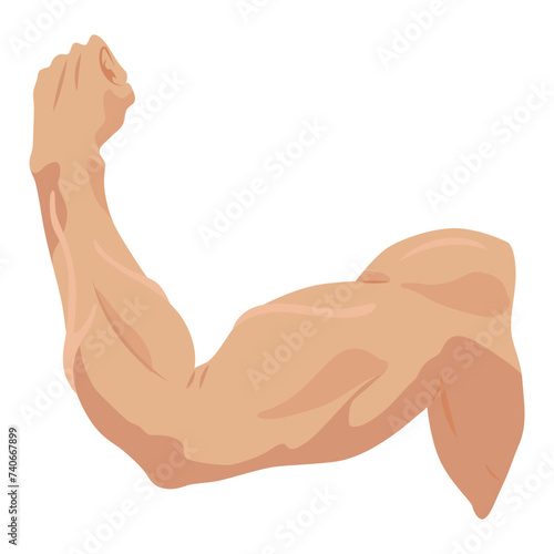 Male biceps muscles icons set. Sportsman arm with strong biceps. Vector symbol of healthy power. Athletic body with tense muscles hand isolated onwhite background