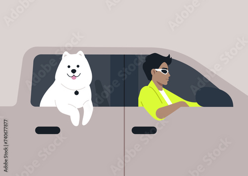 A fluffy white Samoyed leans out the open window of a modern pickup truck, relishing the fresh breeze while its human companion focuses on driving, The serene light indicates a bright, sun-filled day