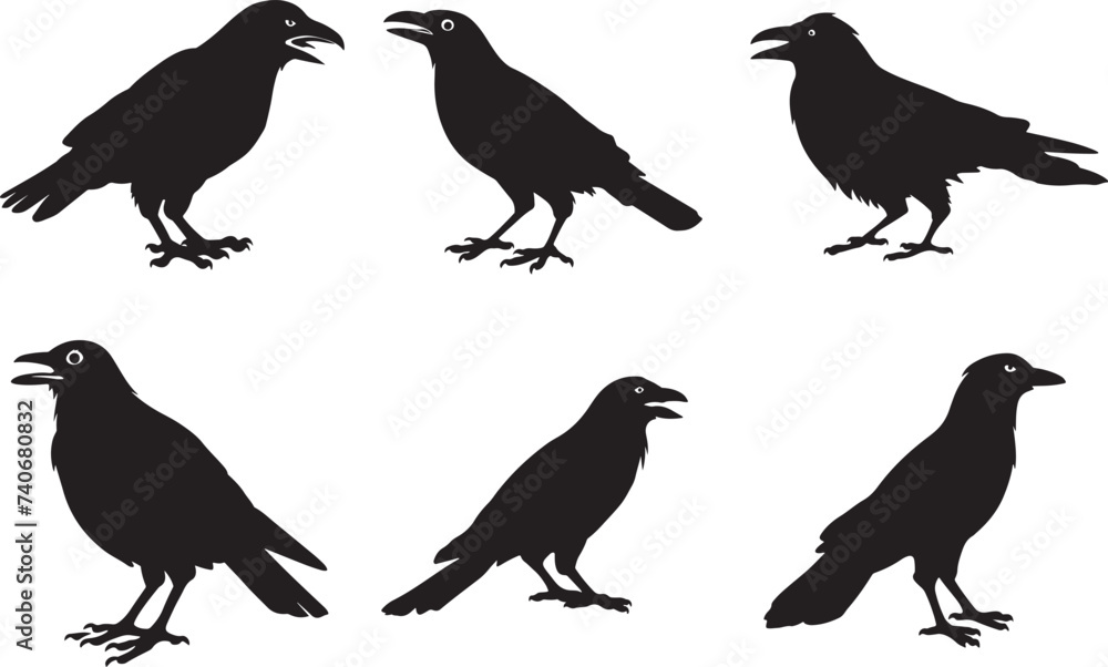 Obraz premium Raven and crow silhouette vector set design