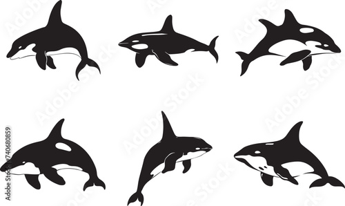 Set of killer whales. Collection of stylized orca whales. Black-white vector illustration