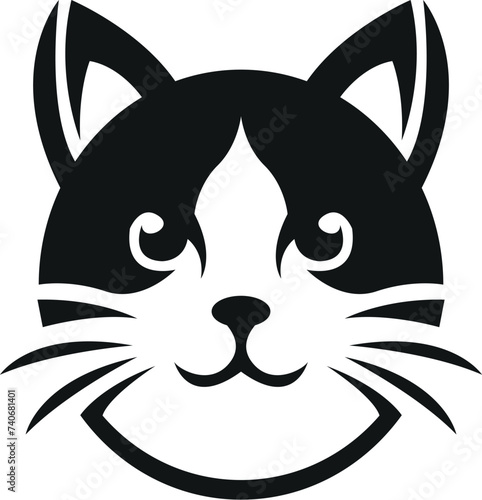 black and white cat