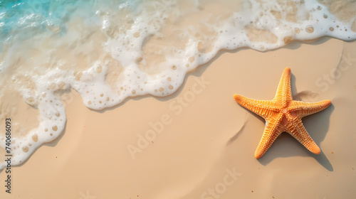 Vacation in tropical resort, sea shells and starfish background