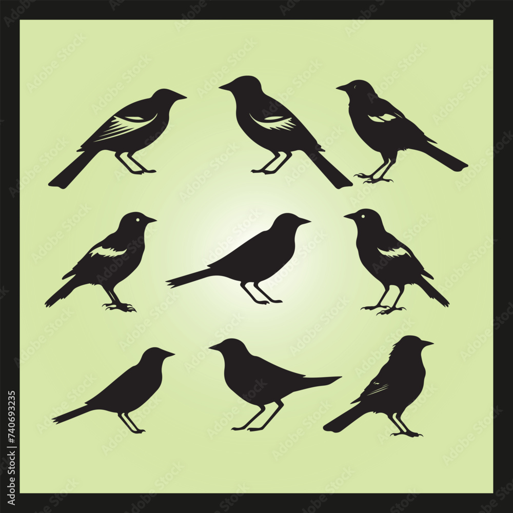 Jay bird silhouette set Clipart on a hex color background Jay bird silhouette set Clipart on a hex color background