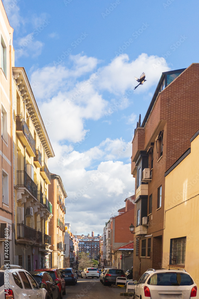 A city street with a lot of parked cars in Madrid. European residential area and vehicles under the houses. A tourist walk in the old town on a sunny day against cloudy sky