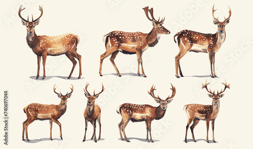 Watercolor deer set. Forest animals illustration on white background © Maksim