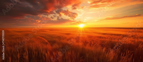 As the sun sets, casting a warm orange glow over the tall grass field, the sky transitions into a beautiful afterglow of red and orange hues