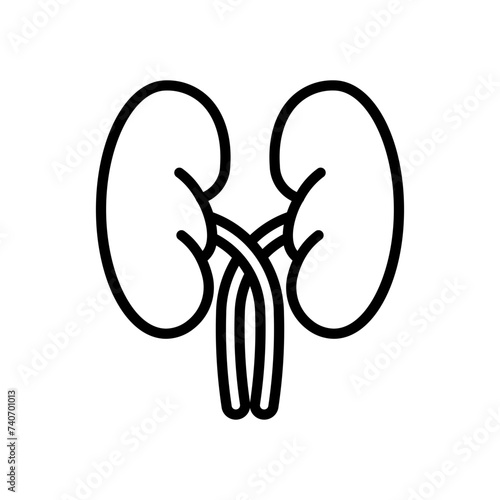 kidneys