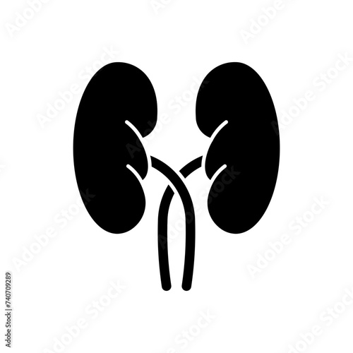 kidneys