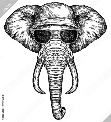 Vintage engraving isolated elephant glasses dressed fashion set illustration ink sketch. African bishop background animal silhouette sunglasses hipster hat art. Black and white hand drawn vector image