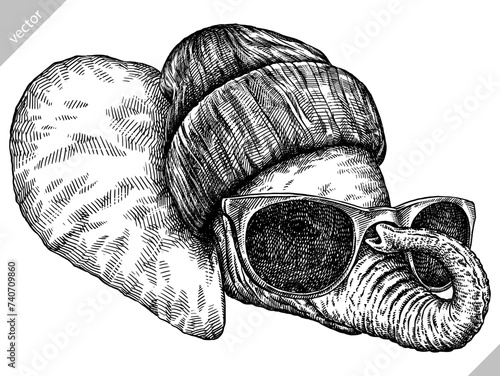 Vintage engraving isolated elephant glasses dressed fashion set illustration ink sketch. African bishop background animal silhouette sunglasses hipster hat art. Black and white hand drawn vector image