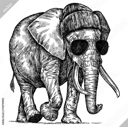 Vintage engraving isolated elephant glasses dressed fashion set illustration ink sketch. African bishop background animal silhouette sunglasses hipster hat art. Black and white hand drawn vector image