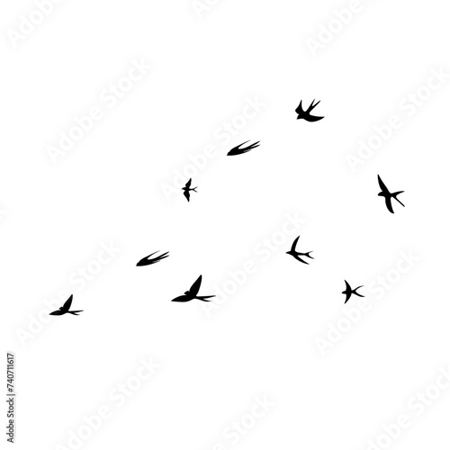 Flock of Flying Swallows