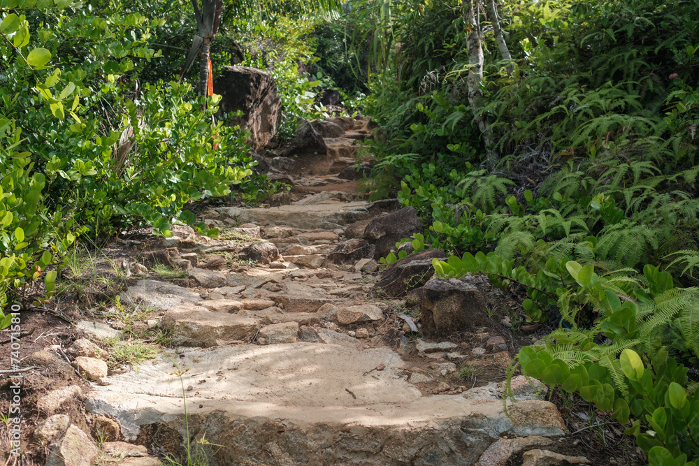 Scenic stone stairs among green foliage leading across beautiful tropical woods. Way through forest in summer season on Seychelles island