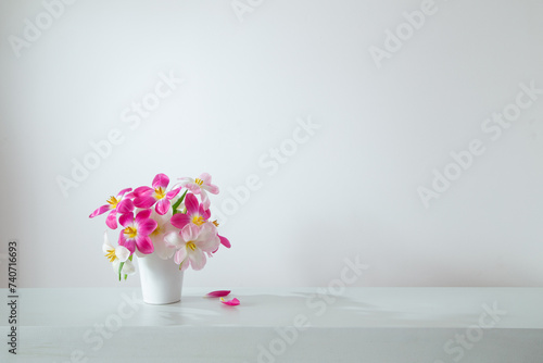 white and pink tulips in white vase on background wall