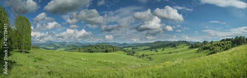 Panoramic view of green meadows and hills on a summer day, cloudy sky 
