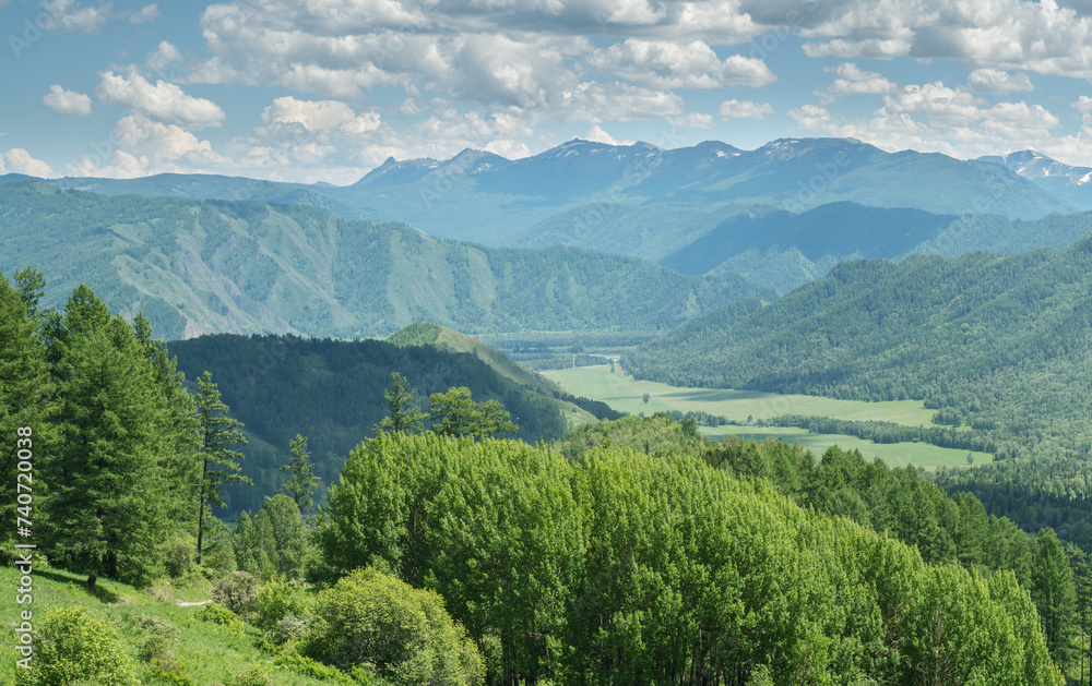 Fototapeta premium View of the mountain valley, summer greenery, sunny day