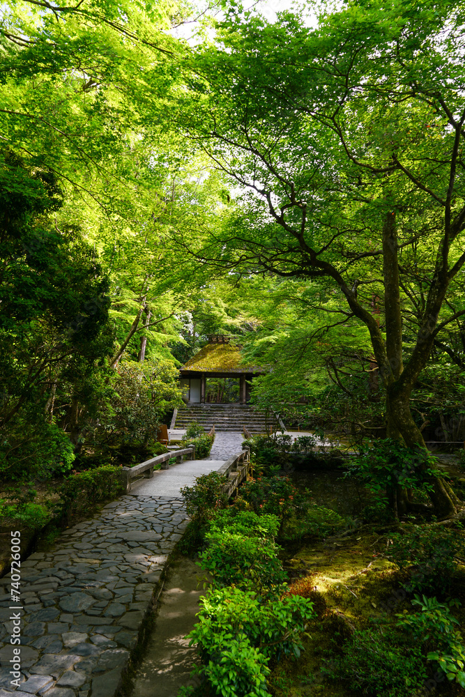 法然院の境内の風景 法然院の境内の風景
