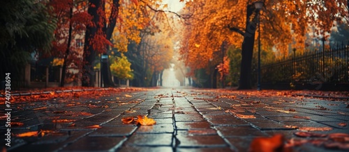 Fotografia A natural landscape with a brick walkway bordered by trees and leaves in a park,