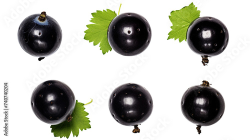 Blackcurrant Illustration with Realistic Details Isolated on Transparent Background - Fresh and Juicy Fruit Graphic Design for Healthy Food Concepts and Summer Market Advertising. photo