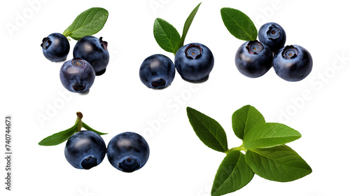 Blueberry Set: Ripe Berries isolated on Transparent Background, Top View Flat Lay for Graphic Design and Food Market Concepts.