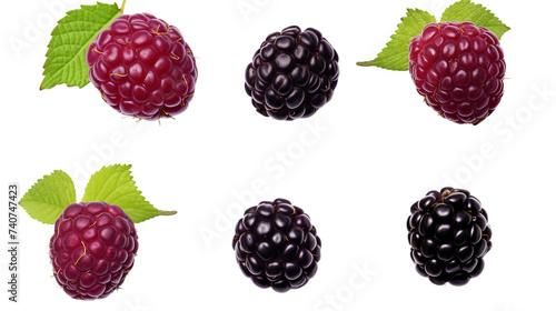 Boysenberry Collection: 3D Digital Art Illustrations of Ripe, Juicy Berries, Isolated on Transparent Backgrounds for Creative Graphic Design Projects and Commercial Use.