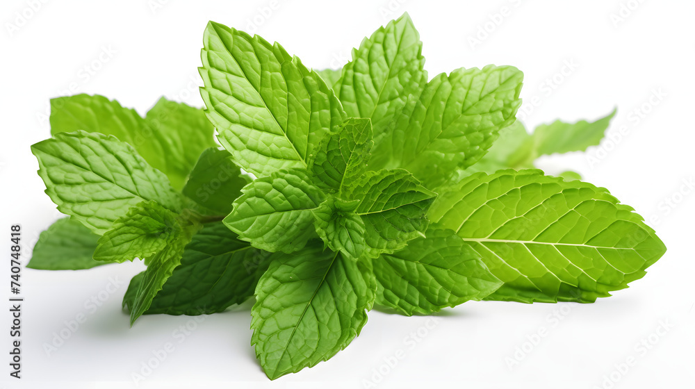 Mint on white background Mint on white background