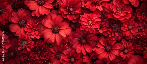 A stack of vibrant red flowers arranged on a table, showcasing their beautiful petals and colors. The closeup view highlights the stunning shades of pink and magenta in these flowering plants