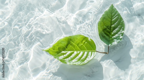 green leaf on water, Green leaves on water surface. Beautiful water ripple background for product presentation. Copy space