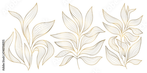 Vector gold leaves on white background isolated. Wavy drawn line branches, nature, plants luxury design elements photo