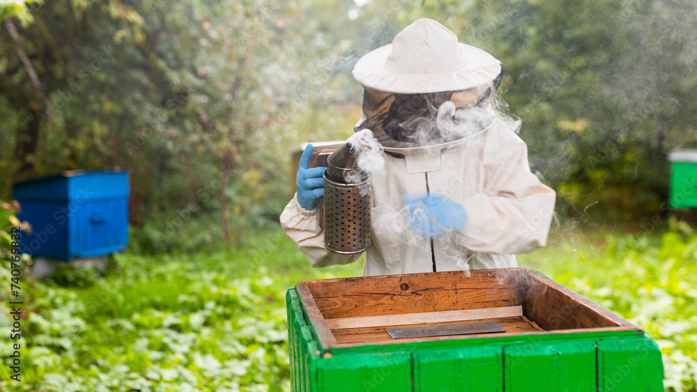 Senior beekeeper with fumigator near the hive Senior beekeeper with fumigator near the hive