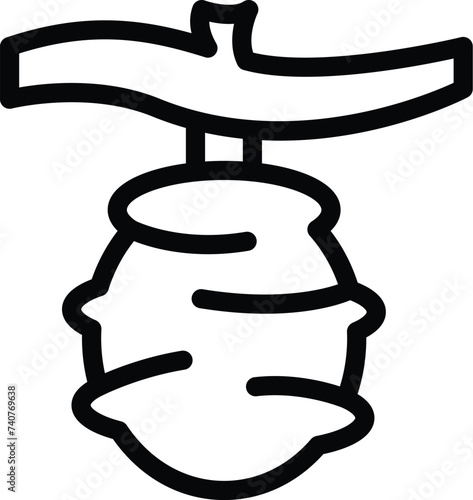 Chrysalis shell icon outline vector. Insect cocoon protection. Insects metamorphosis lifecycle