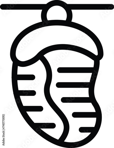 Cocoon maturation icon outline vector. Biology cocooning stage. Butterfly insect transformation