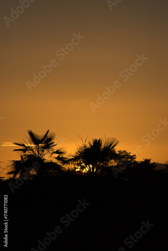 Viajando por la carretera atardeceres y paisajes.