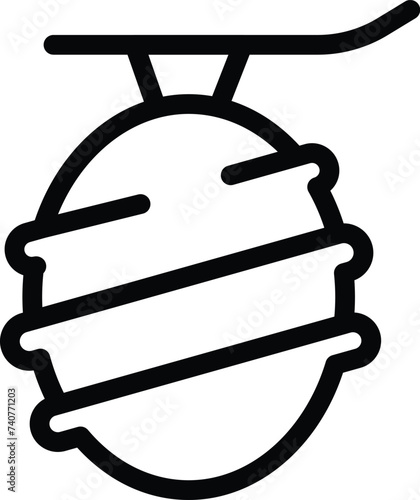 Cocoon evolution icon outline vector. Insect metamorphosis, Silk caterpillar chrysalis