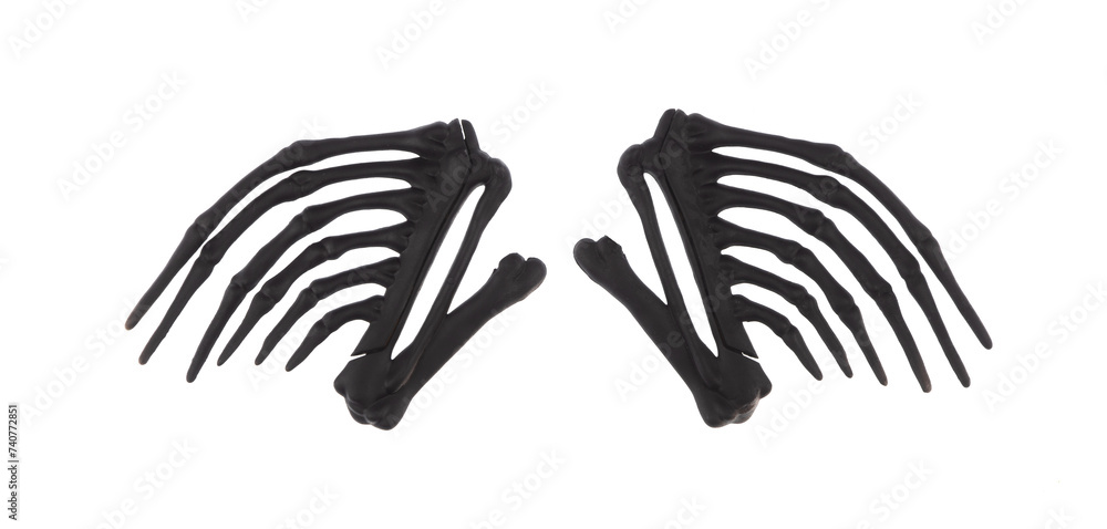 black skeleton of bird wings isolated on white background black skeleton of bird wings isolated on white background