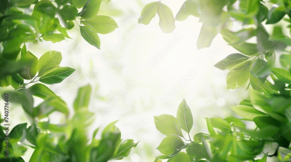 Fresh spring green leaves with bright natural light background. Environmental and nature concept with copy space for design and print Fresh spring green leaves with bright natural light background. Environmental and nature concept with copy space for design and print