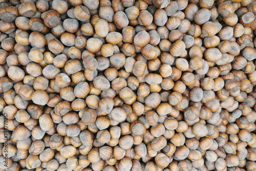 fresh natural hazelnuts texture