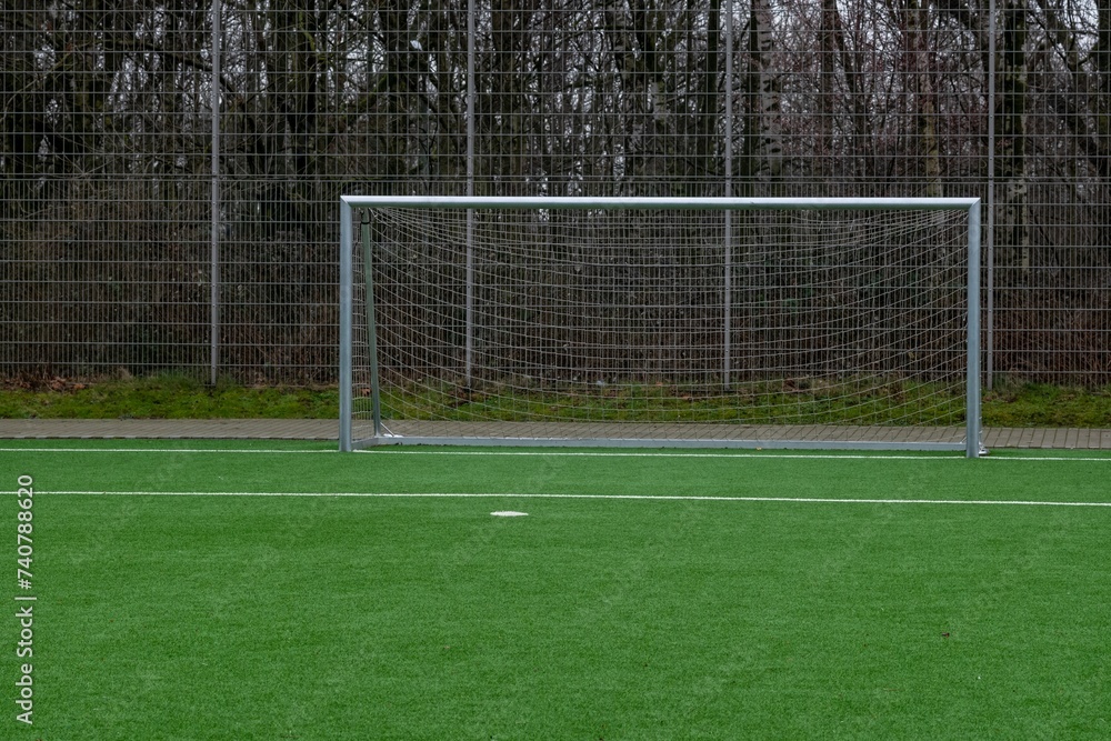 Fototapeta premium soccer pitch, center circle and goal