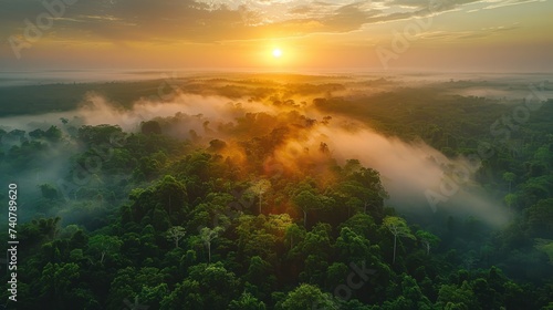 Wallpaper Mural View on sunset over the trees of the rain forest Torontodigital.ca