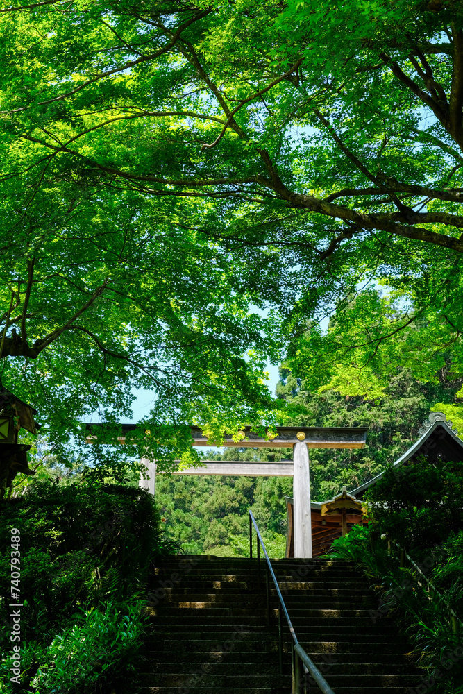 Fototapeta premium 日向大神宮の初夏の風景