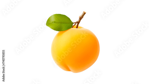 Isolated apricot fruit cut out. Peach fruit on transparent background