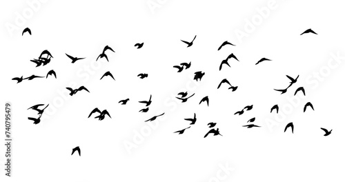 Flying birds silhouette flock. hand drawing. Not AI  Vector illustration