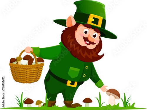 Cartoon gnome or dwarf character happily picks mushrooms. Isolated cheerful vector personage in pointy hat mushrooming in the enchanting forest, surrounded by the magical allure of nature bounty