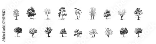 Tree silhouette set. Vector illustration design.
