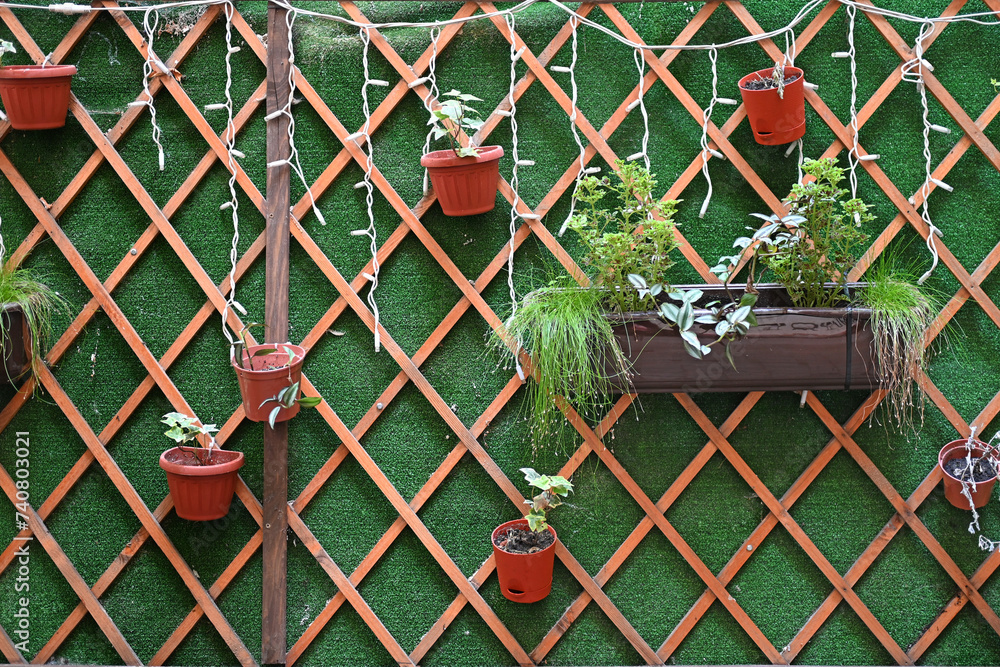 Wooden trellis in interior design - a wall from wooden slats with flower pots. Wooden trellis in interior design - a wall from wooden slats with flower pots.