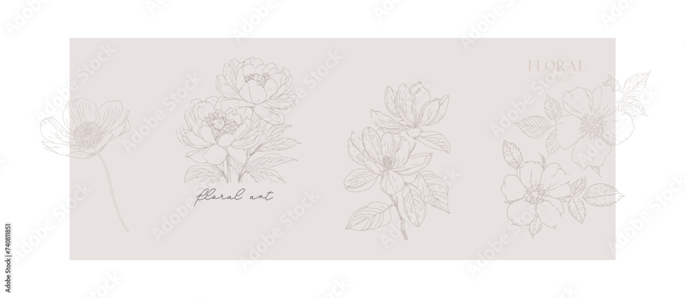 Floral header with peonies, wild rose, rose hip flowers