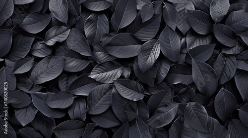 black leaf background 