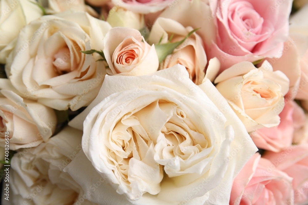 Beautiful rose flowers as background, top view Beautiful rose flowers as background, top view